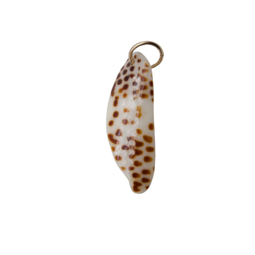 Cowrie Seashell Charm No. 01