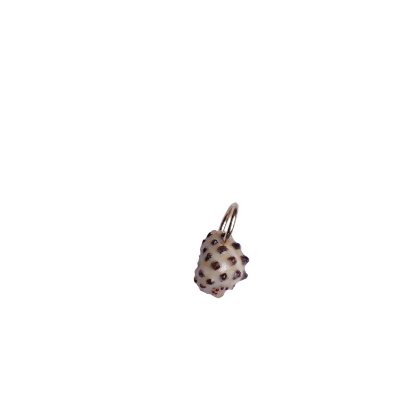 Mini Spotted Drupe Seashell Charm No. 20