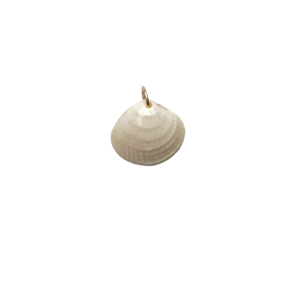 Clam Seashell Charm No. 08