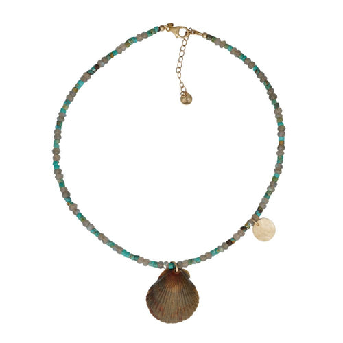 Scallop Seashell Turquoise Coin Necklace