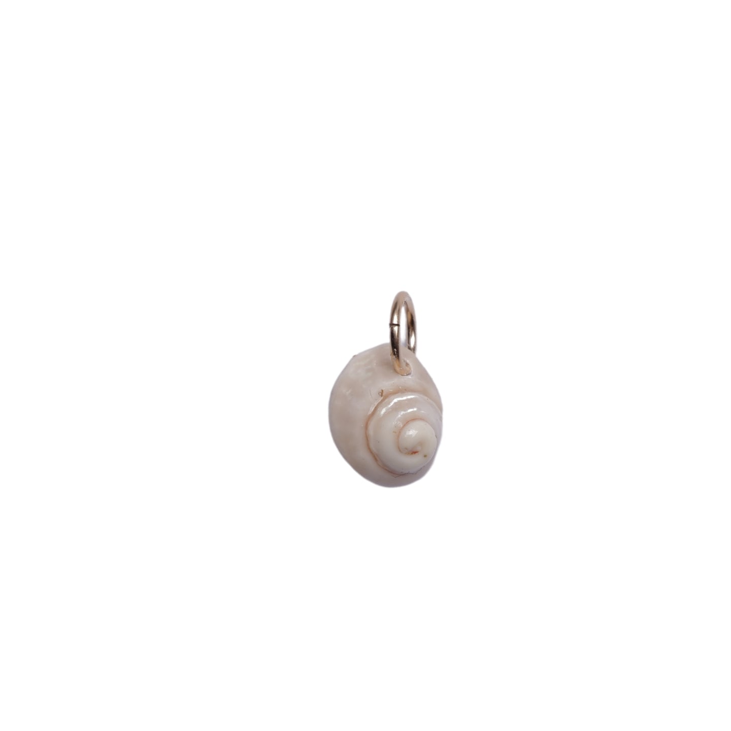 Mini Wavy Turban Seashell Charm No. 007