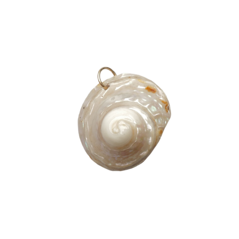 Large Wavy Turban Seashell Charm No. 03