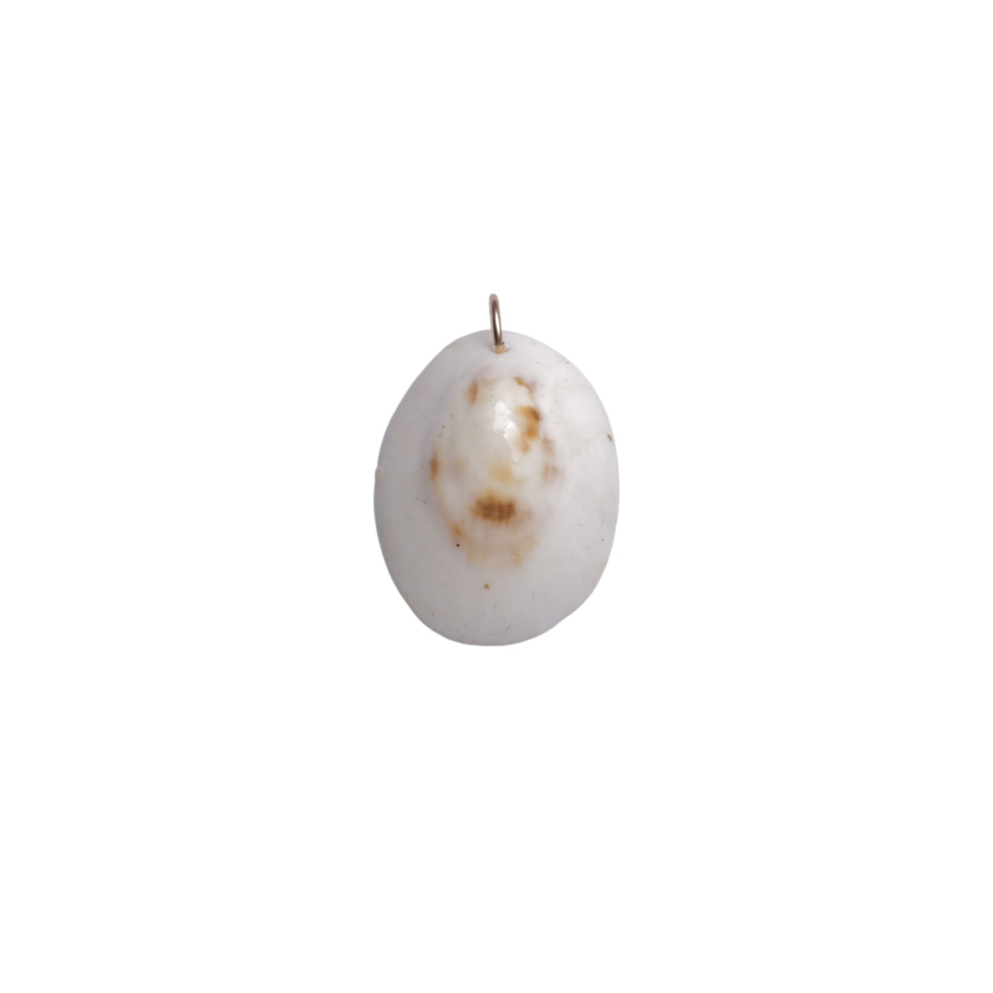 Opihi Seashell Charm No. 17